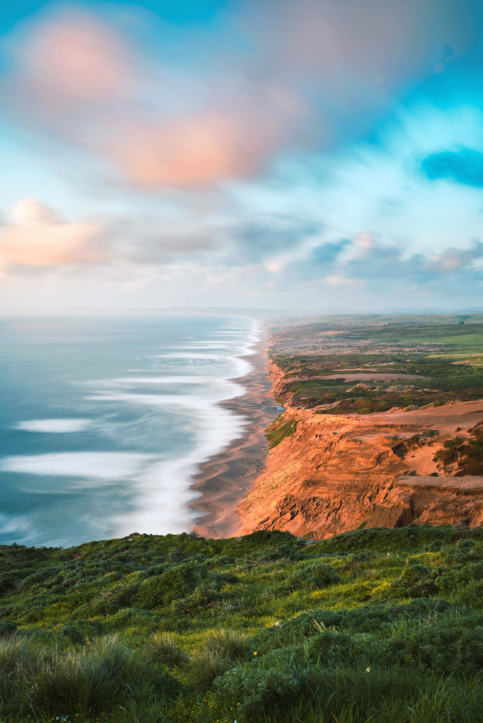 california_pt_reyes_color_beach_trees_ocean_@servetolead.com